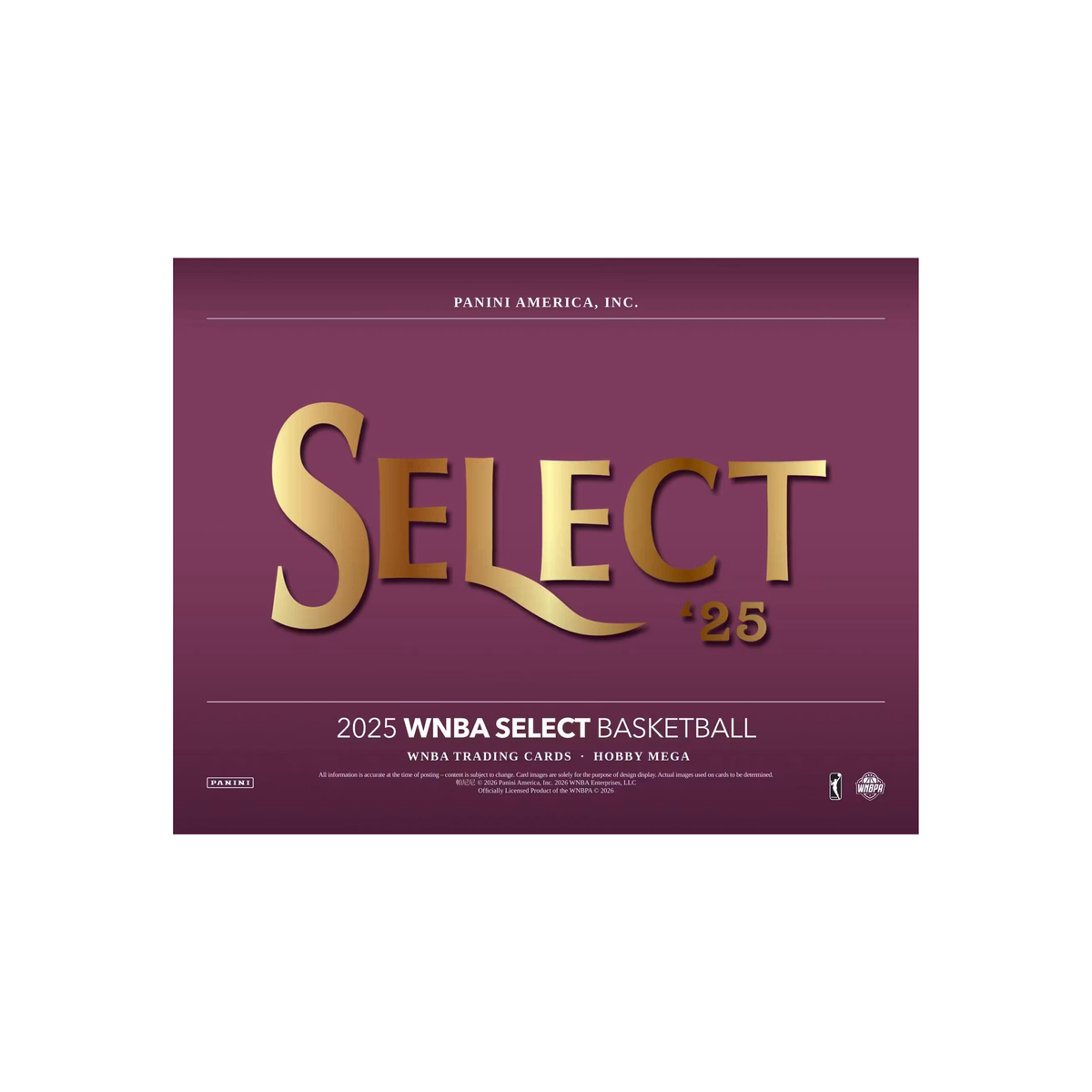 2025 Panini Select WNBA Basketball Hobby Mega 20 Box Case